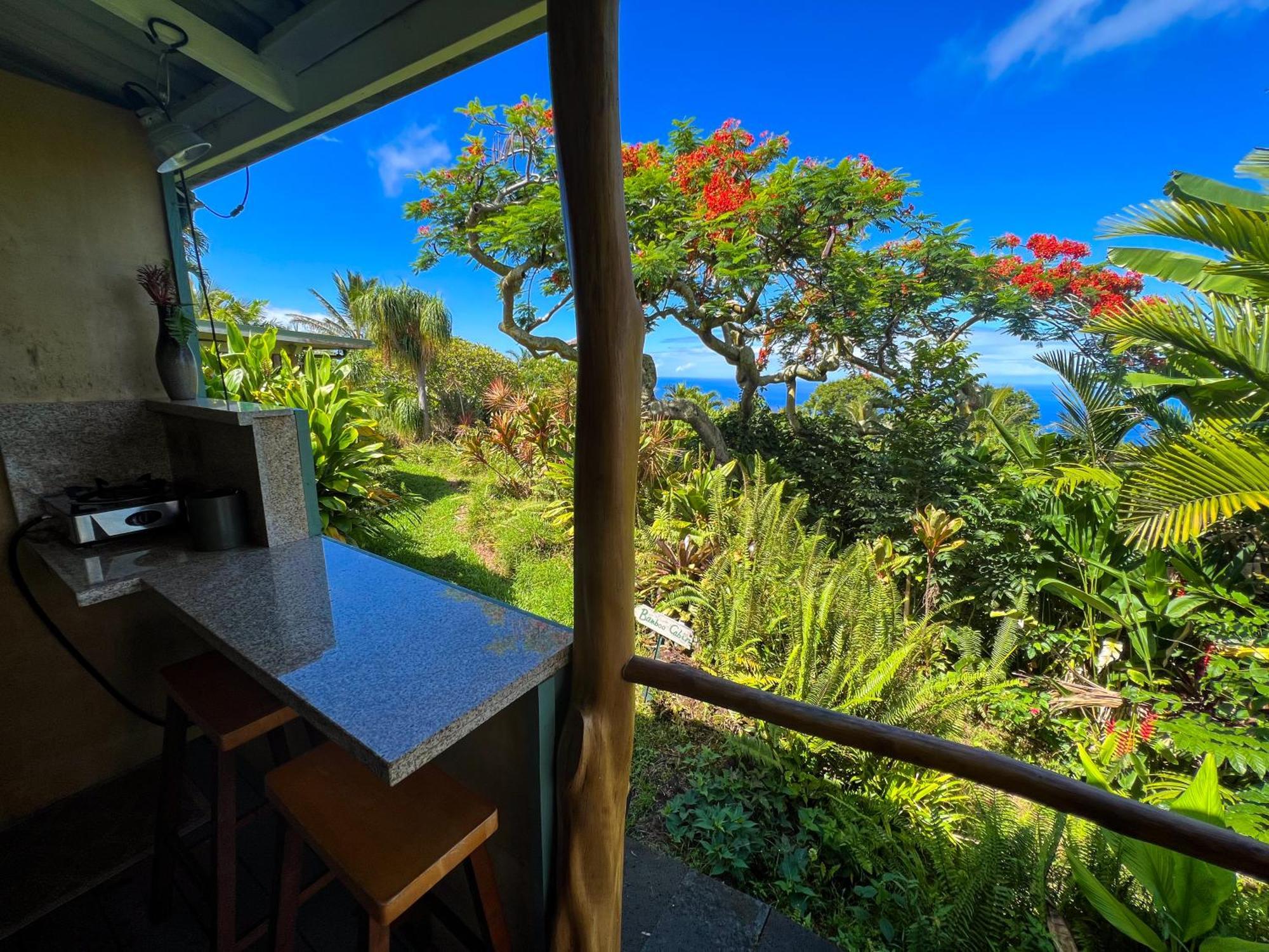 Apartment Gingerhill Farm Retreat Kealakekua
