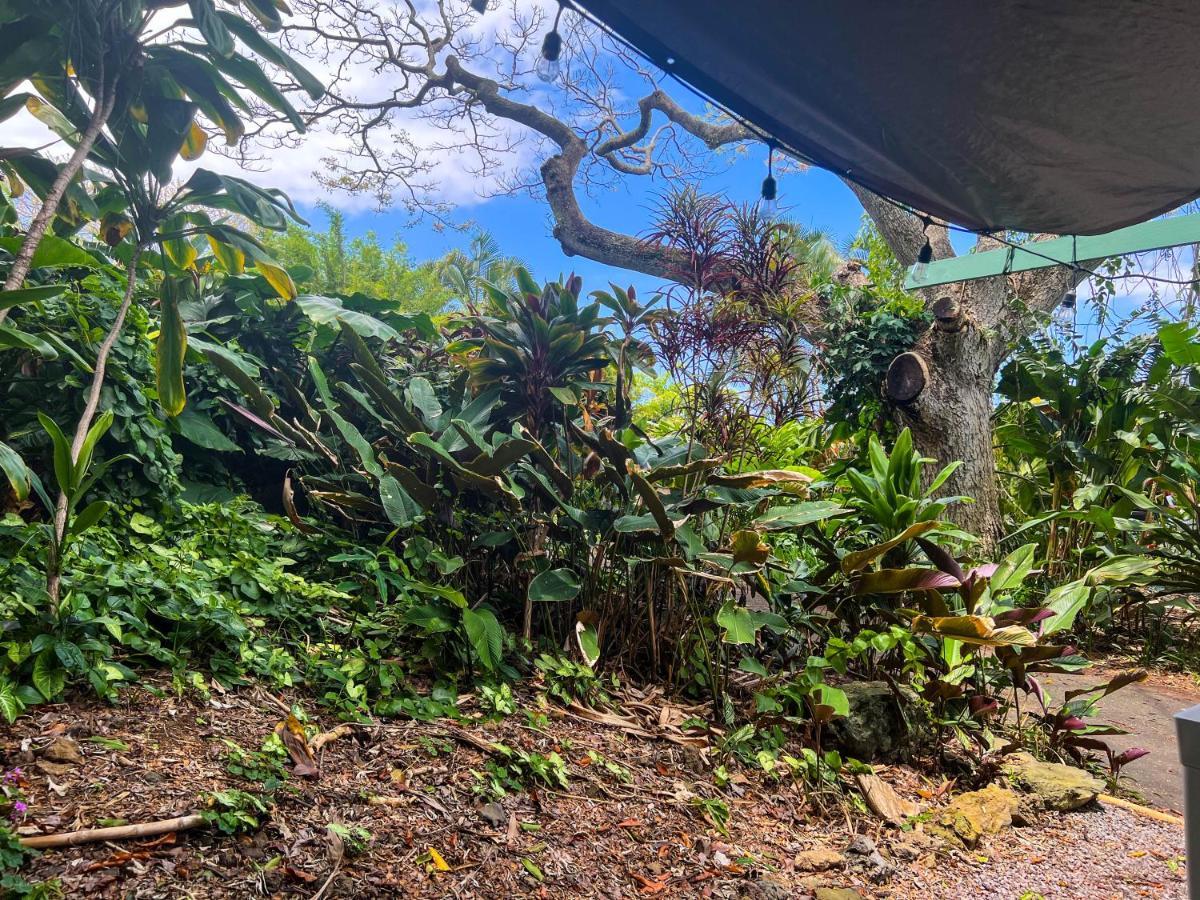 Gingerhill Farm Retreat * Kealakekua